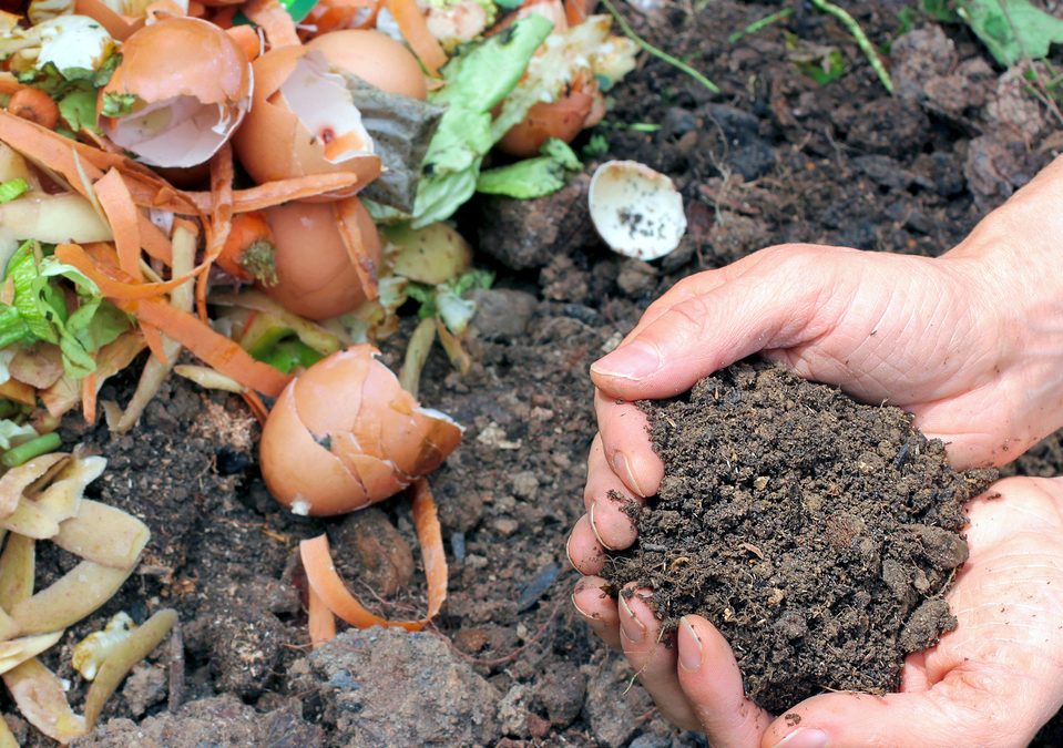 ¿Compost en el trabajo?